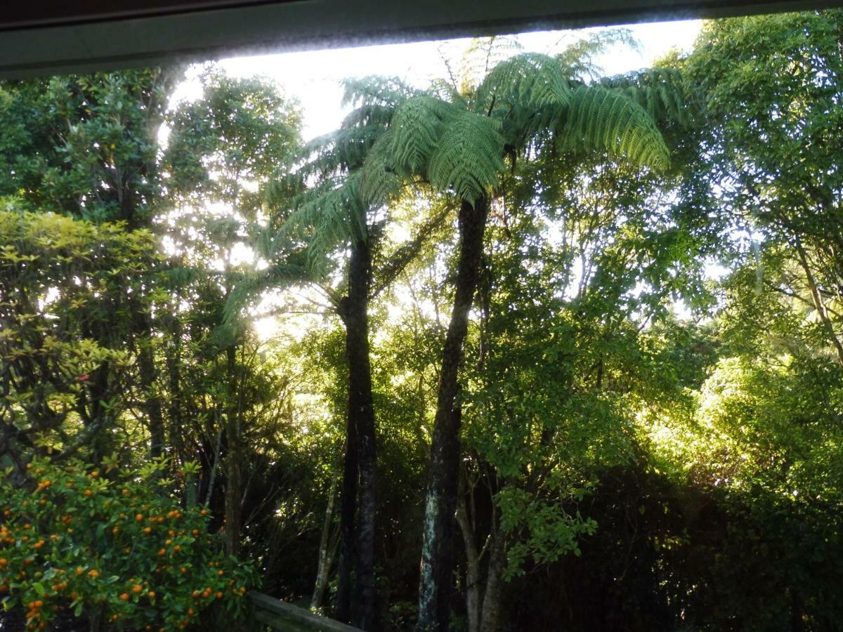 Hideaway Off Heta Lejlighed New Plymouth Eksteriør billede